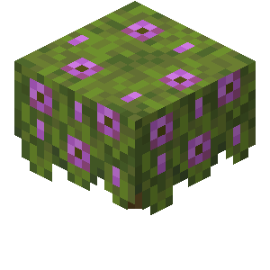 Minecraft 1.17: Flowering_Azalea