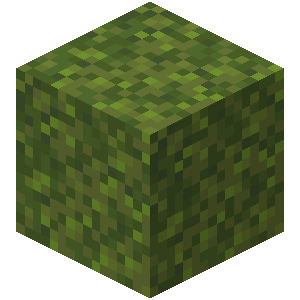 Minecraft 1.17: Moss_Block